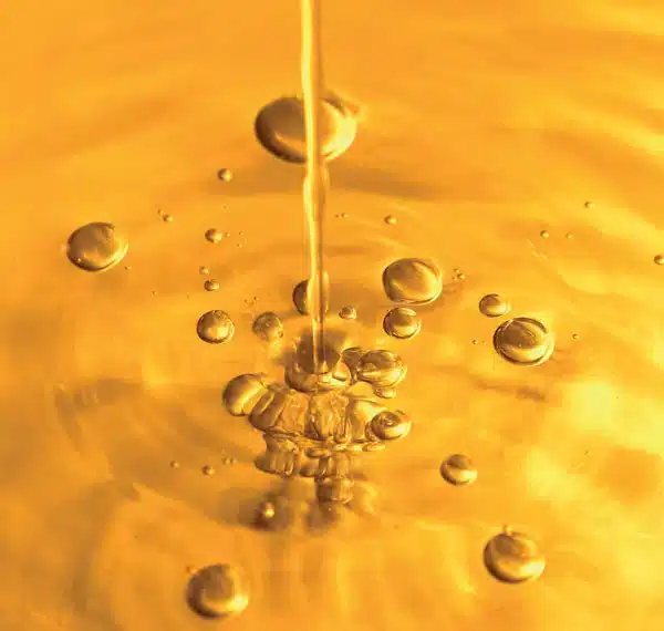 Read more about the article Oil Plus