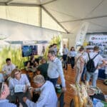 AGRO SHOW Bednary 2025 RAGT Polska