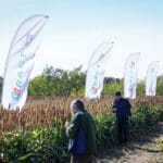 Dzień Sorgo RAGT - Tominy 2025