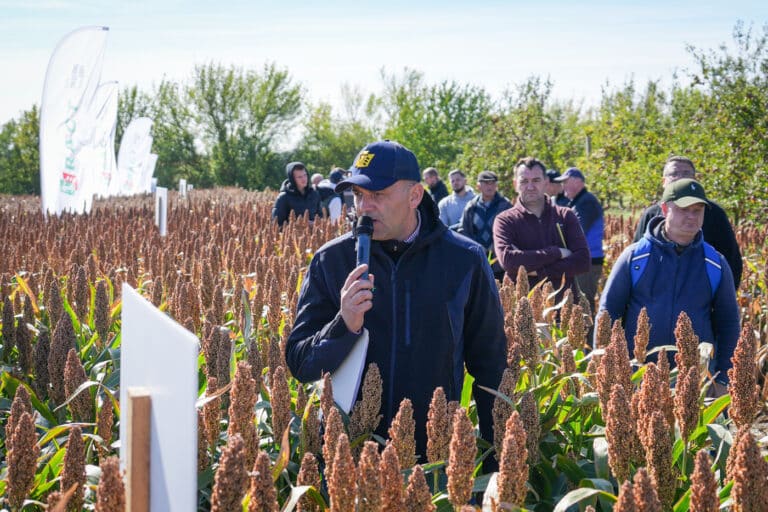 Dzień Sorgo RAGT - Tominy 2025