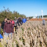 Dzień Sorgo RAGT - Tominy 2025