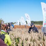 Dzień Sorgo RAGT - Tominy 2025