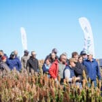 Dzień Sorgo RAGT - Tominy 2025