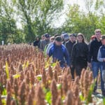 Dzień Sorgo RAGT - Tominy 2025