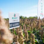 Dzień Sorgo RAGT - Tominy 2025