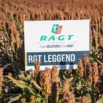 Dzień Sorgo RAGT - Tominy 2025