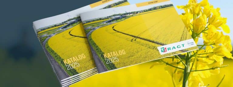 Katalog Rzepak RAGT 2025