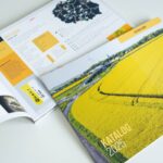 Katalog Rzepak RAGT 2025