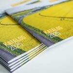 Katalog Rzepak RAGT 2025