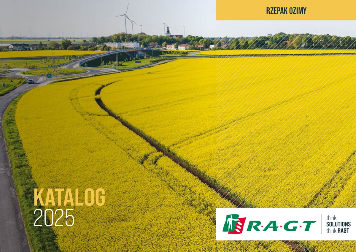Rzepak RAGT Katalog 2025