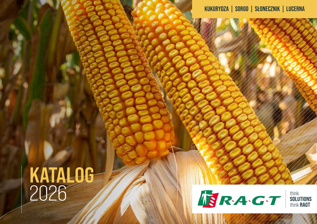 Kukurydza RAGT katalog 2026