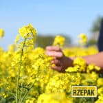 Przystanek Rzepak RAGT 2025