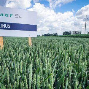 RGT Linus