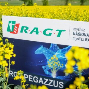 RGT Pegazzus
