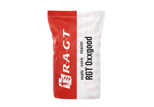 RGT Oxxgood kukurydza RAGT