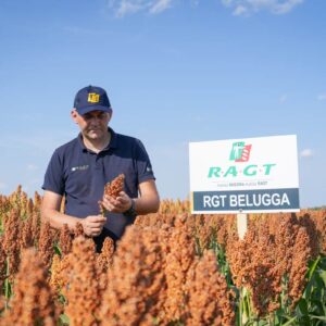 RGT Belugga